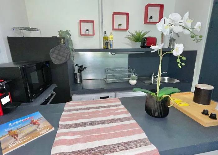 公寓 Cocooning Hauteur De Saint-raphael *