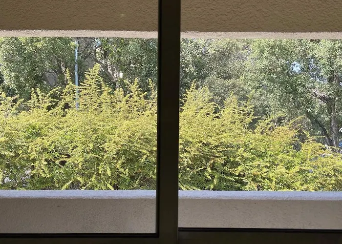 Cocooning Hauteur De Saint-raphael *